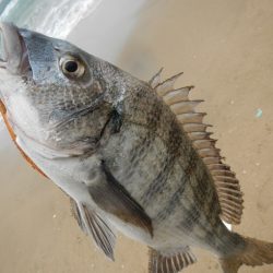 荒れてます、雨降ってます