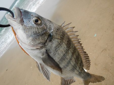 荒れてます、雨降ってます