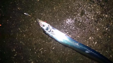 厳しい釣り