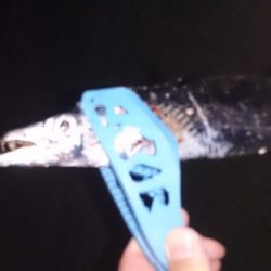 あんたも好きねぇ