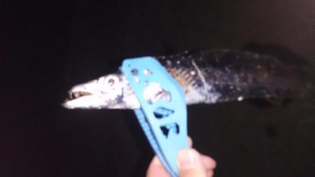 あんたも好きねぇ