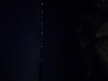 久しぶりの投稿