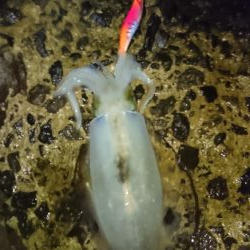 出張でアウェイの場所