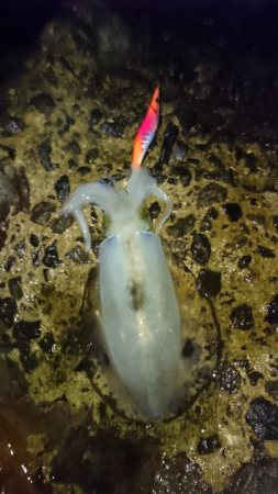 出張でアウェイの場所