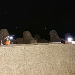 カレイ釣り、落ちギス釣り