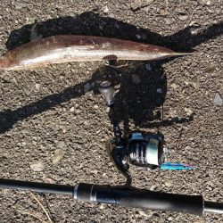 エギング～のエソニング