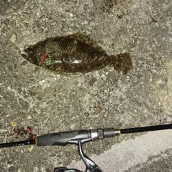 アジングのつもりが