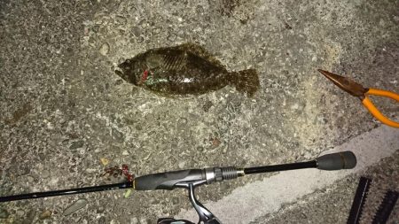 アジングのつもりが