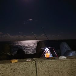 落ちギス、カレイ釣り