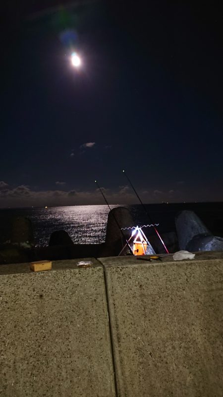 落ちギス、カレイ釣り