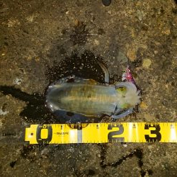 もう終わりかな…