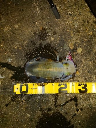 もう終わりかな…