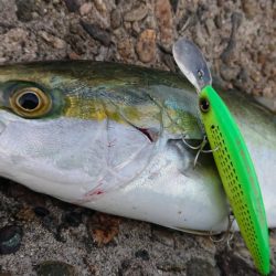 朝練して来ました❗