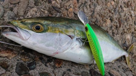 朝練して来ました❗