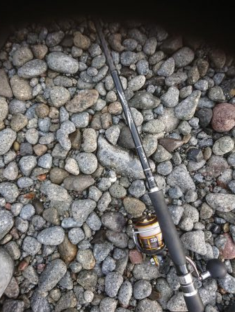 シーバース&ロックフィッシュ