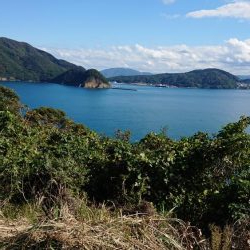 ヤエンとウキ釣りでアオリイカ(^O^)