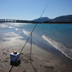 アジング  エギング  キス釣り メジナ釣り