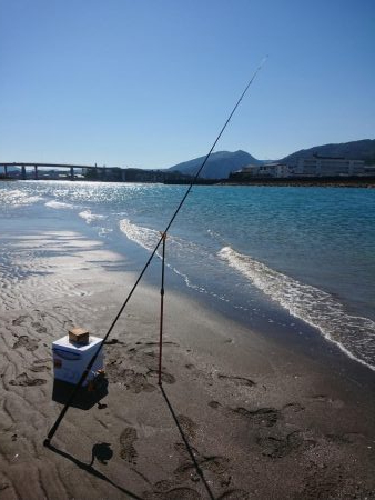 アジング  エギング  キス釣り メジナ釣り