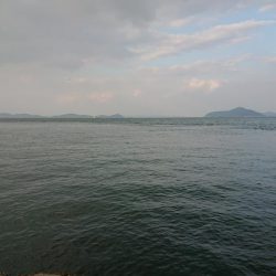 スズキと言っていいですか？