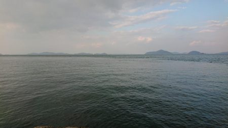 スズキと言っていいですか？