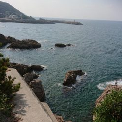 アジング&エギング&グレ釣り