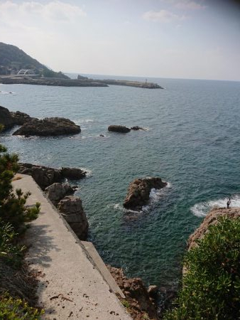 アジング&エギング&グレ釣り