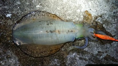 仕事帰りにちょこっと