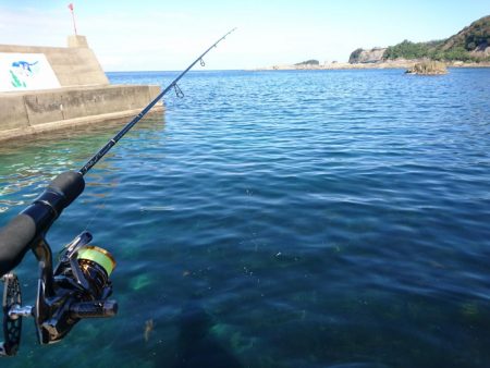 デイライトゲーム