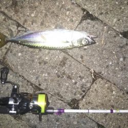 地震にビビり→ライトゲーム