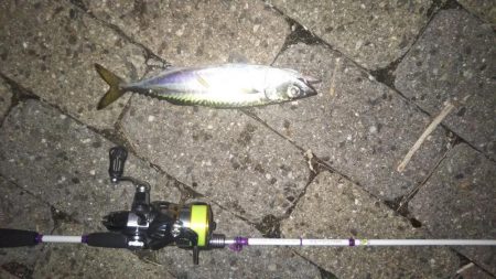 地震にビビり→ライトゲーム