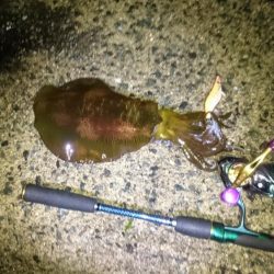 どしゃ降り爆風の中