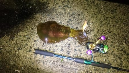 どしゃ降り爆風の中