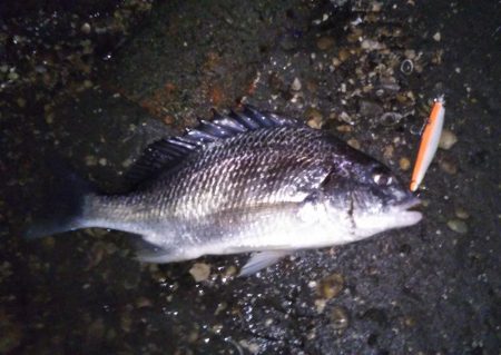 ボイルの正体は？