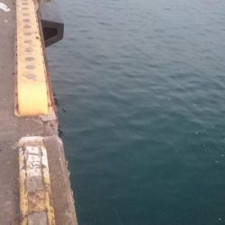 湾奥タチウオ釣行