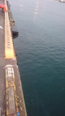 湾奥タチウオ釣行