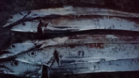 自作グロージグ