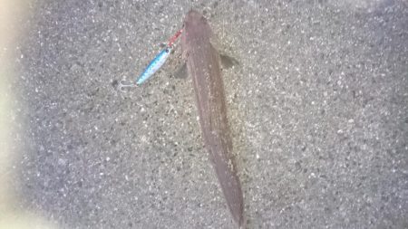 貧果でも釣れてよかった