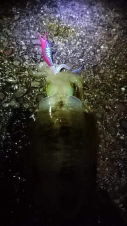 雨にも負けずしゃくります