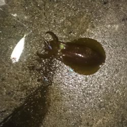 久しぶりに、行ってきました。