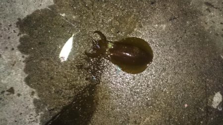 久しぶりに、行ってきました。