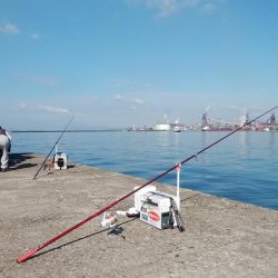 播磨新島でキス狙い