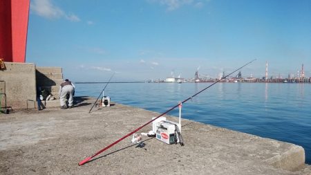 播磨新島でキス狙い