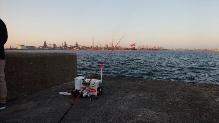 播磨新島でキス狙い