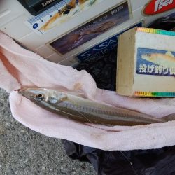 近場の江井ヶ島でハゼ釣り