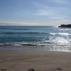 まだまだキス釣れます。