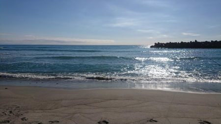 まだまだキス釣れます。