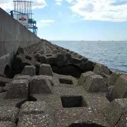 東二見水道へ落ちギス釣査