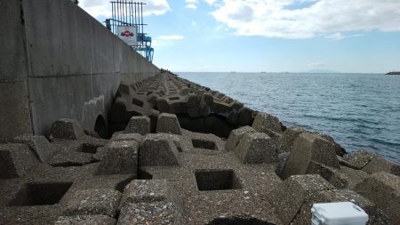 東二見水道へ落ちギス釣査