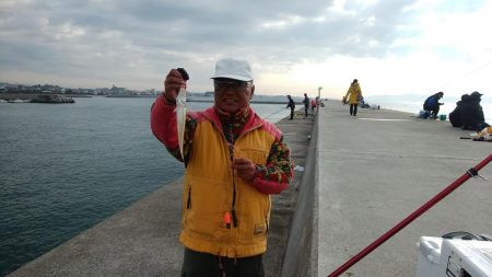 東二見白灯台波止へ落ちギス釣査