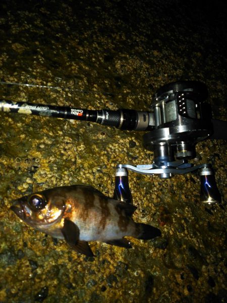 ライトロックフィッシュゲーム